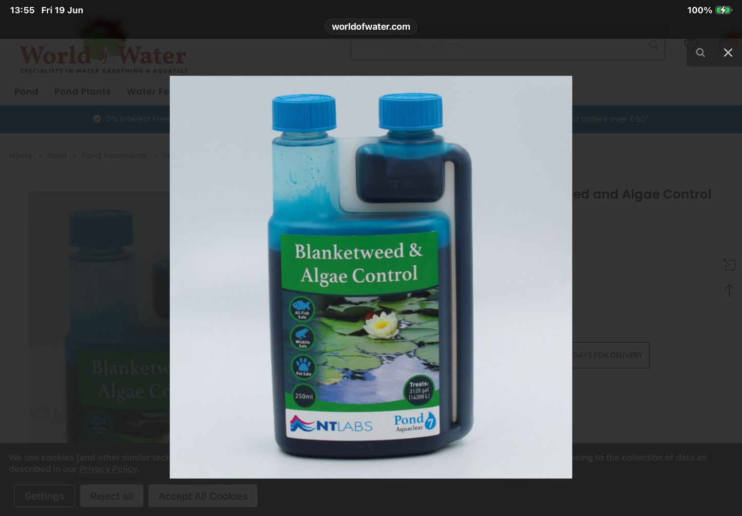 Blanketweed and algae control NTlabs