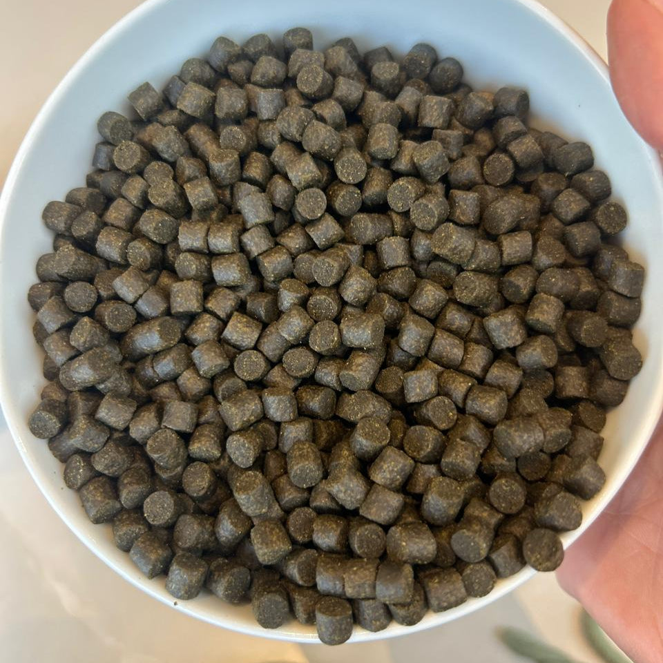 Dainichi Colour Up Sink